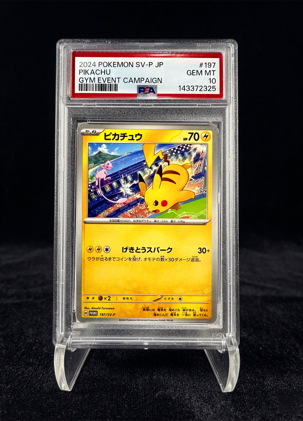 Pikachu (2023) Gym Event Campaign {Mew} - PSA 10